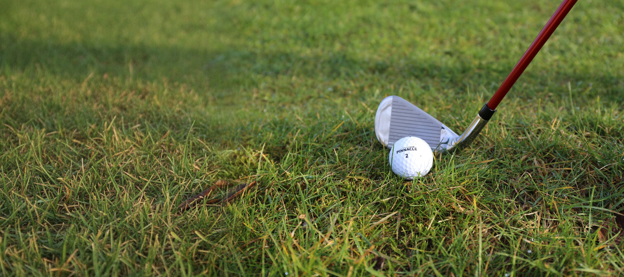 Golf club and golf ball in the grass